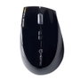 Hiditec Dendro MOU010002 Ratón Inalámbrico 2000 DPI